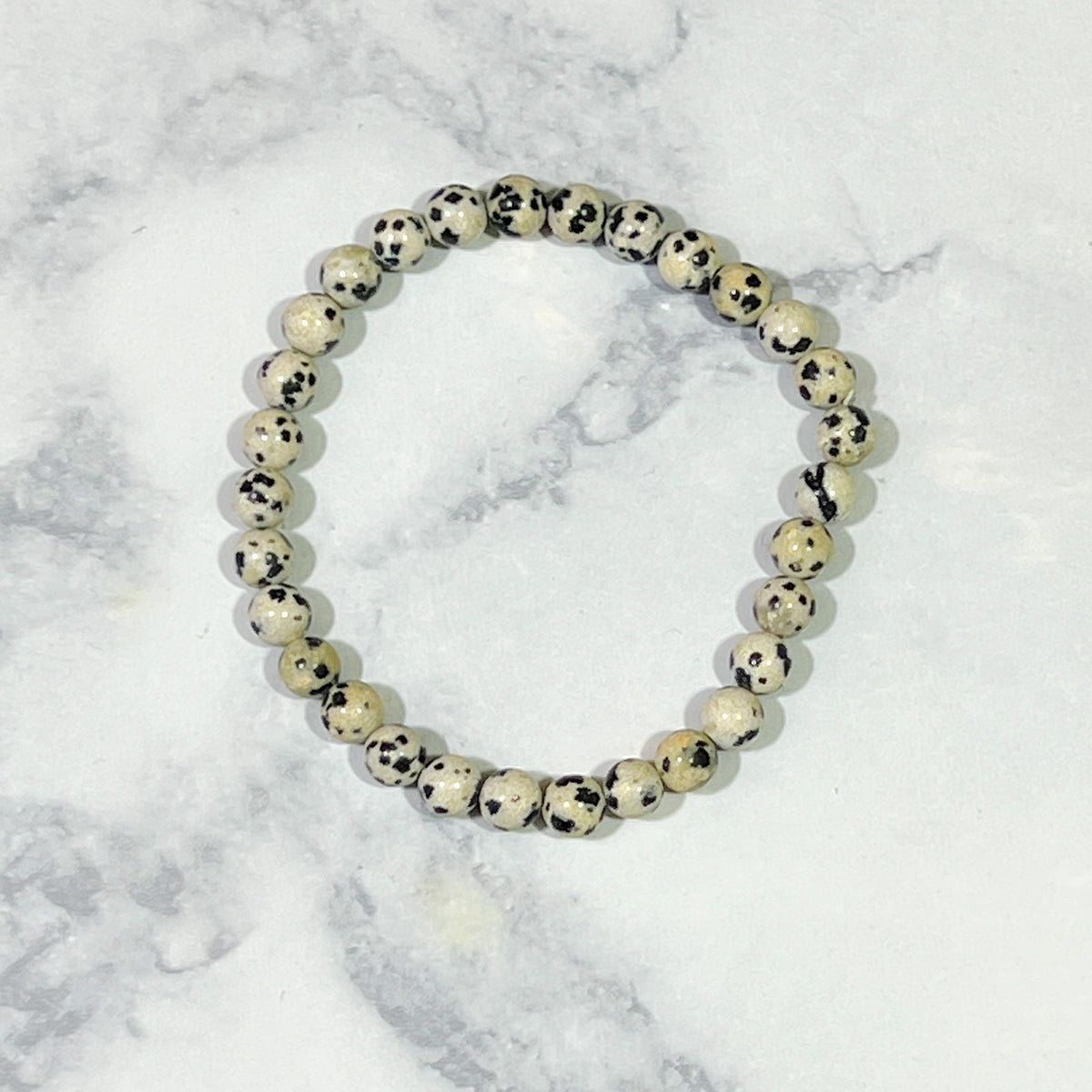 Dalmatian Jasper Stone Bracelet | 6mm